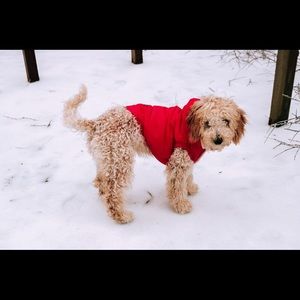 Meet your Posher, Landyn